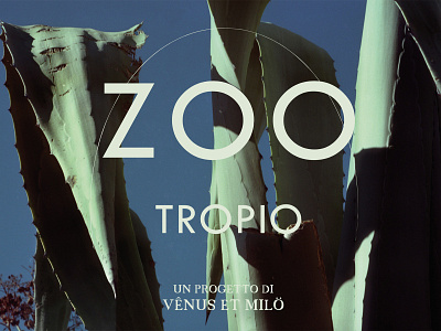 Zootropio exhibition design logo