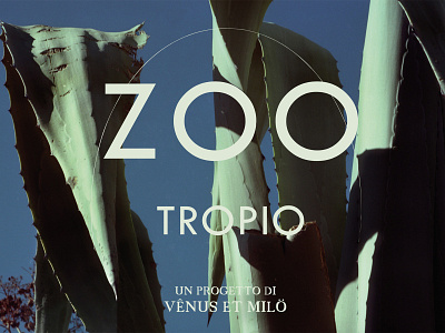 Zootropio