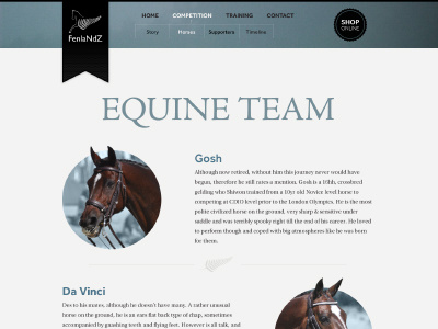 The Equine Team design effra horse jenson ui web design