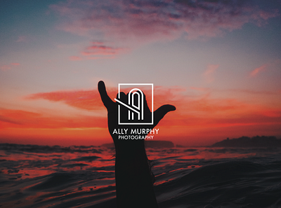 Ally Murphy Photography Branding animated branding design gif icon illustration logo