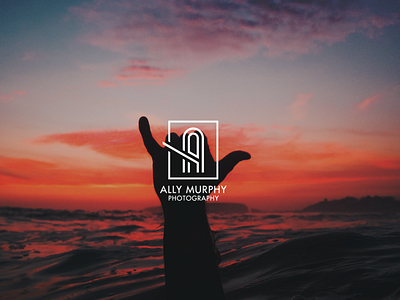 Ally Murphy Photography Branding