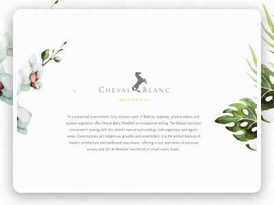 Cheval Blanc Micro Site clean graphicdesign hotel landingpage luxury texture travel webdesign website white