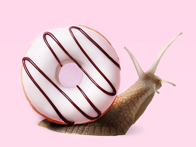 Pets, not food! animal clean colorful concept design donut graphic design natural pets snail social ui