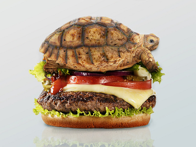 Pets, not food animal branding burger clean colorful concept design graphic design illustration nature pets social turtle ui