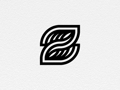 ~Z~ branding design graphic logo mark typography waves z