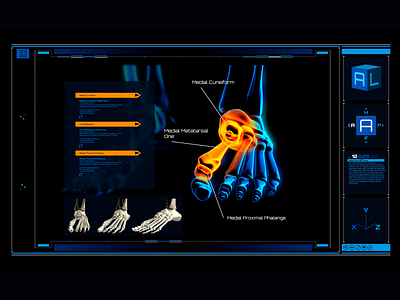 Medical Interface Animation