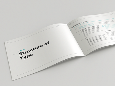 Brand Guidelines: Structure of Type brand guidelines brand identity branding branding design clean design design minimalism mockup typeface typogaphy