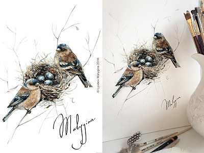 Sparrow aquarelle art bird book drawing illustration ink malygina painting watercolour