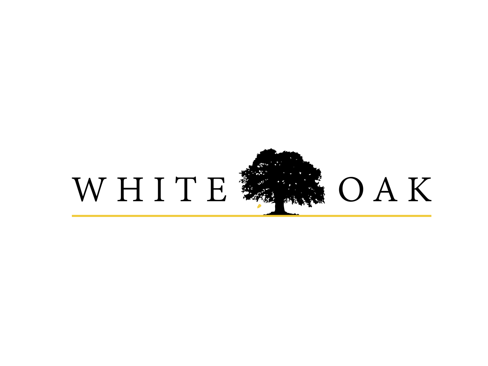 White Oak Logo Design by Allen Warford on Dribbble