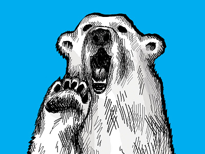 Polar Bear bear blue cold drawing eesteren illustration manouk photoshop polar sketch van wnf