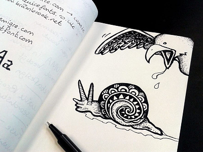 Snail sketch bird drawing eesteren illustration manouk snail van