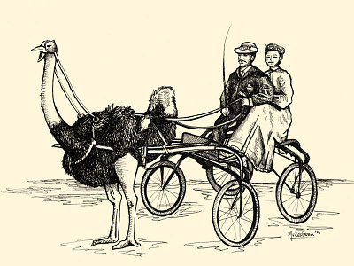 Ostrich Cart 1910 eesteren manouk ostrich race van