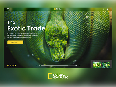 National Geographic banner redesign adobexd app design banner branding clean clean design clean ui design flat design national geographic ui ui ux ui design uidesign web web design webdesign website website concept website design