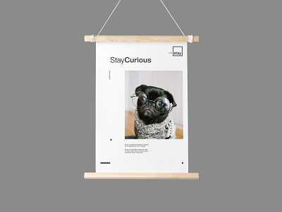 Stay Curious - Minimal Poster Design design layout design layout exploration minimal poster poster a day poster design typography