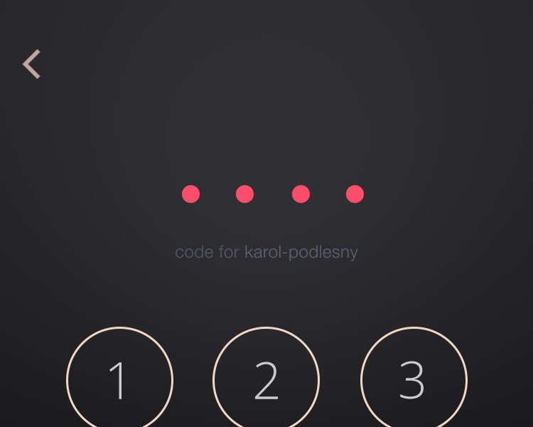 Pin code validation by Karol Podleśny on Dribbble