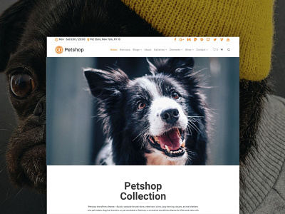 Pets Site Builder - Petshop WordPress Theme