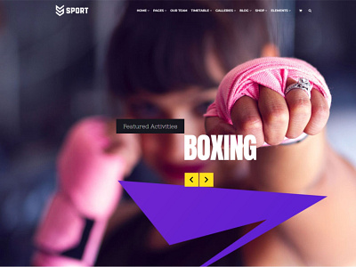 Sport WordPress Theme  - Boxing Slider