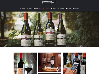 Gallery Page - WineHouse WordPress Theme