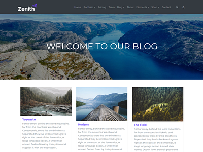 Blog Posts Grid Page - Zenith WordPress Theme