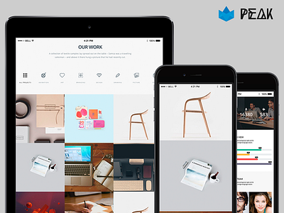 Peak Responsive WordPress Theme   Sites Builder