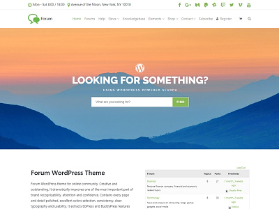 Forum WordPress Theme - Home Page