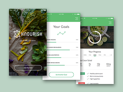 Knourish App dashboard ios mobile nutrition tracker ui design