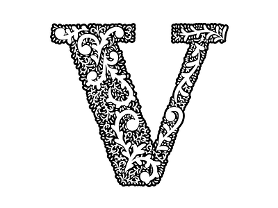 V design lettering type typography vector