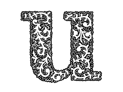U design identity illustration lettering type typography vector