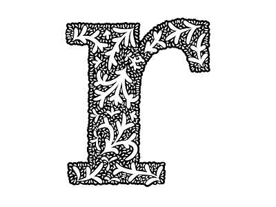 R design illustration lettering type typography vector