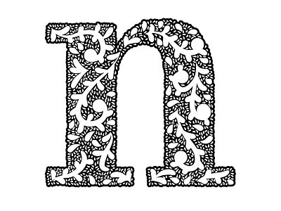 N design identity illustration lettering type typography vector