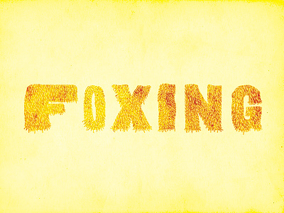 Foxing Type fox foxing hair hairy handtype type typography yellow