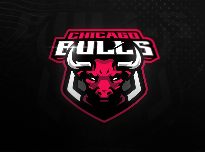 Chicago Bulls logo redesign by Nikita on Dribbble