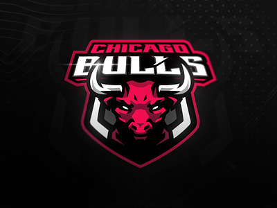 Chicago Bulls logo redesign
