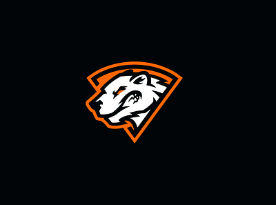 Virtus Pro logo redesign bear branding design e sports gaming illustration logo mascot mascot logo orange polar pro typography ui ux vector virtus virtus pro virtuspro white