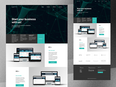 Landing Page for the Software Development Agency