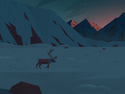 2016 artic reindeer snow sunrise