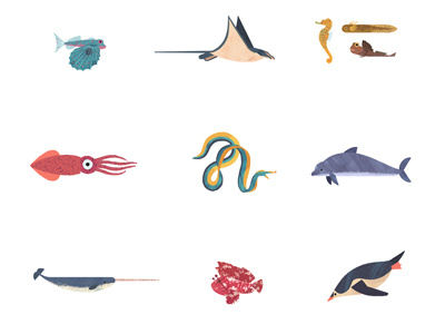 Fish/notFish animal fish illustration mammal molusc ocean sea