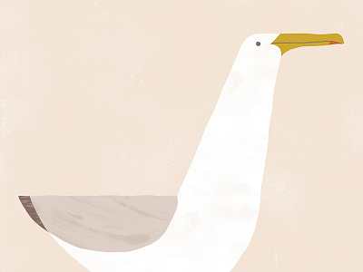 Gabian bird illustration poster print seagull