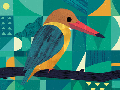 Kingfisher animal bird illustration rainforest tropical