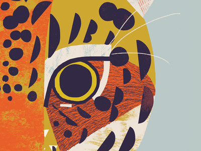 Jaguar amazon animal cat conservation endangered illustration jaguar rainforest
