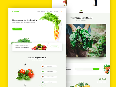 Carrots - Organic Farm carrots concept food fruit landing organic startup store ui vegetables web website