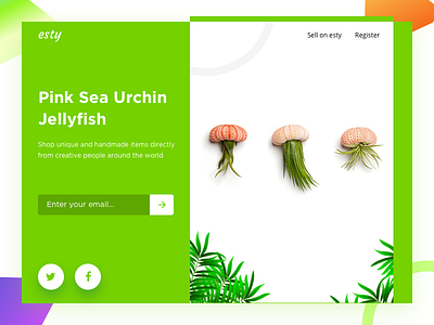 esty - product page jellyfish landing newslatter page photo product screen sea style ui webdesign website