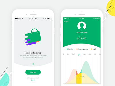 My expenses app account app bank chart expenses flat ios money ui wallet