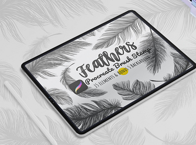 Procreate Brush Stamp Set Feathers aesthetic feathers illustration line art procreate procreate art procreate brushes product design stamp