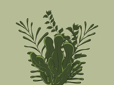 seaweed animation app art clipart design hand drawn illustration logo nature nature illustration sea seaweed ui underwater ux vector vectors water