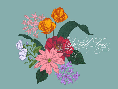 spread love with spring bouquet bloom blossom botanical calligraphy camellia copperplate drawing flourishing handlettering hyacinth illustration lettering magnolia script script lettering sweet pea tulips vector