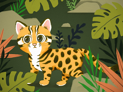 Taiwan Leopard Cat