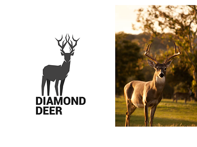 diamond deer animal branding design graphicdesign icon illustration logo logotype minimal typography vector