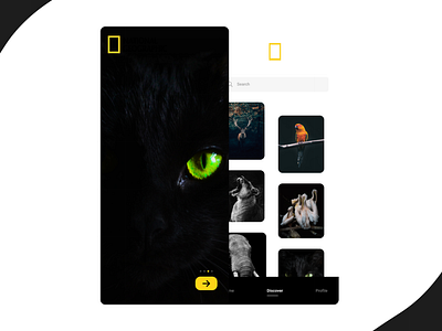 National Geographic app design concept