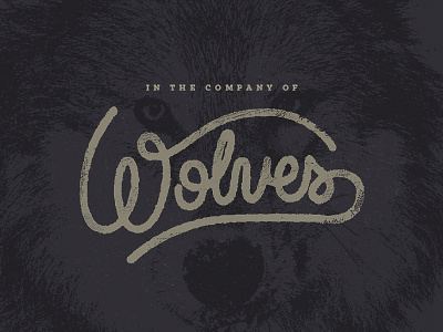 In The Company of Wolves custom handlettering incubus music rock and roll script typography wolf wolves